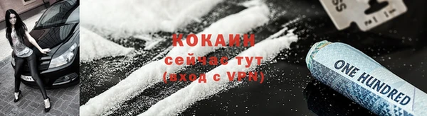 гашик Верея