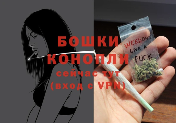 гашик Верея