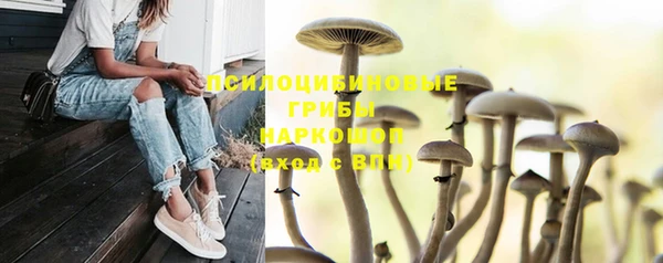 шишки Верхний Тагил