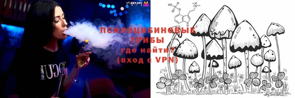 гашик Верея