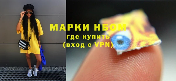 шишки Верхний Тагил