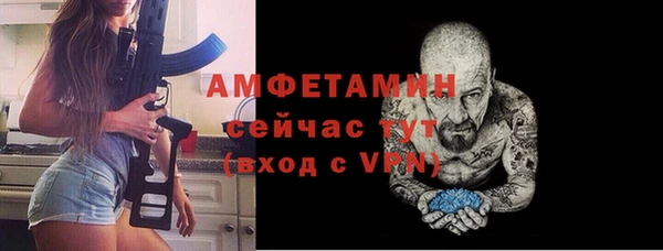 шишки Верхний Тагил