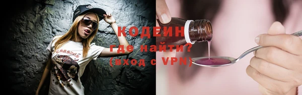 шишки Верхний Тагил