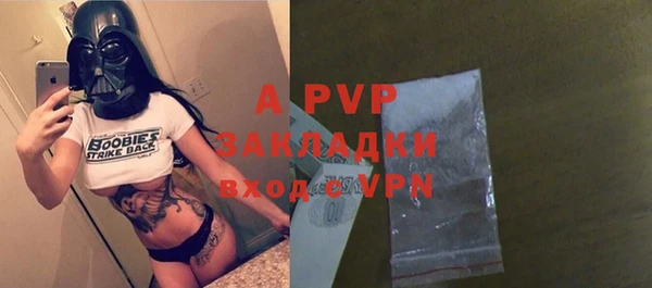 гашик Верея
