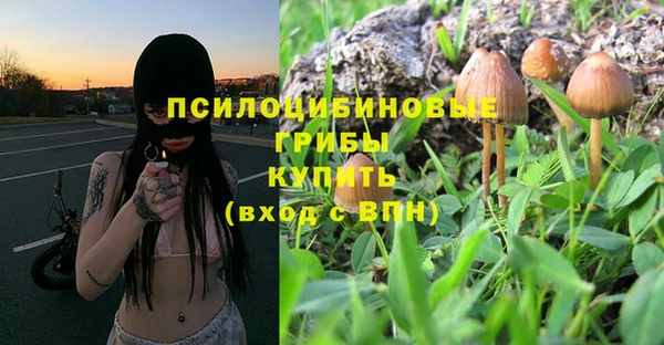2c-b Верхнеуральск