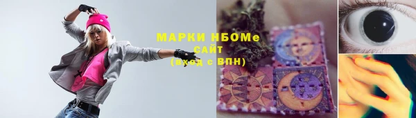 гашик Верея