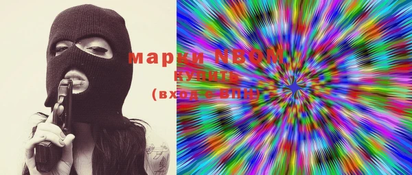 шишки Верхний Тагил