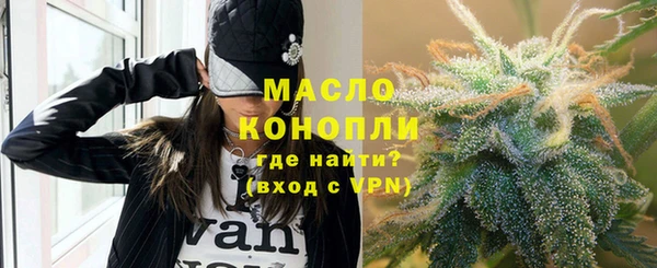 шишки Верхний Тагил