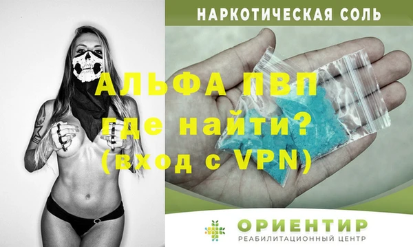 гашик Верея