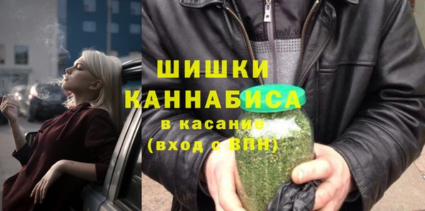 гашик Верея
