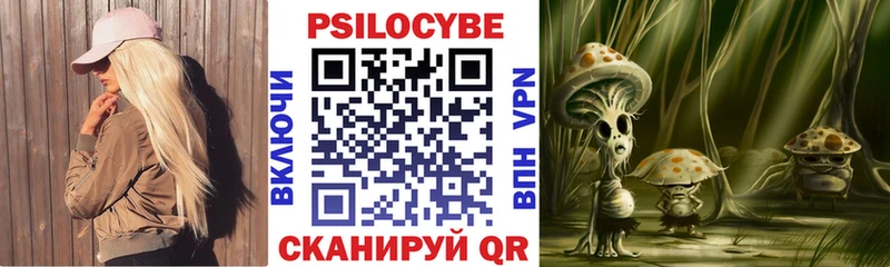 где можно купить   blacksprut как зайти  Псилоцибиновые грибы Cubensis  Устюжна 